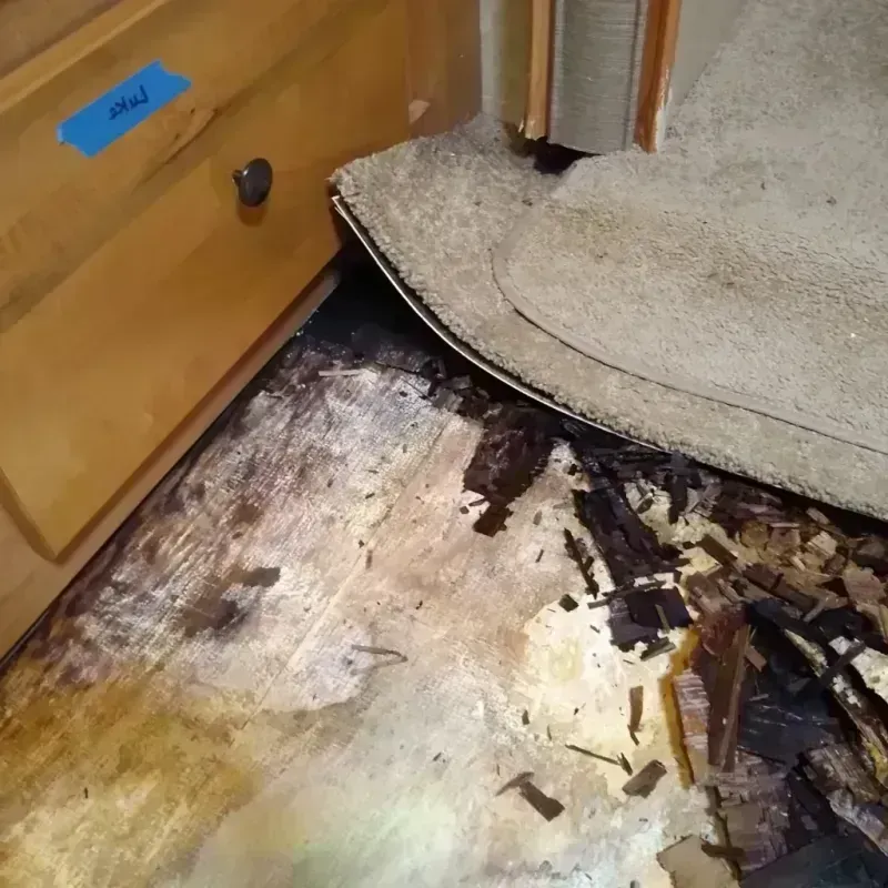 Best Wood Floor Water Damage Service in Cleves, OH